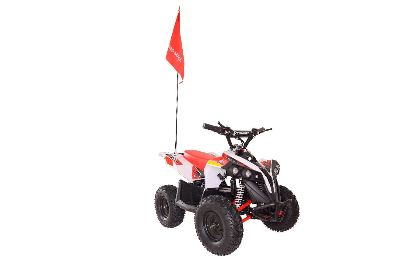 Recalled E-Bully Youth All-Terrain Vehicles (image 2 of 3)