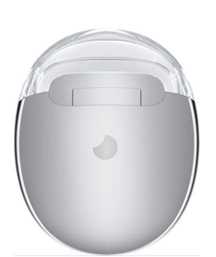 Recalled Humane Charge Case Accessory for Ai Pin