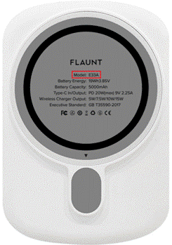 Label with model number (back of charger)