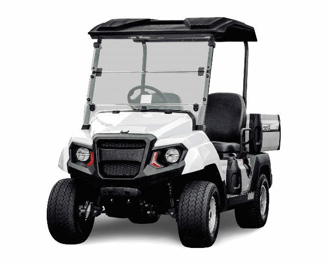 Recalled Model Year 2023 Yamaha Golf Car (image 3 of 6)