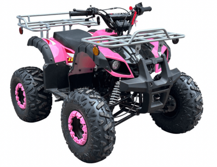 Recalled Sierra 125U Youth All-Terrain Vehicles (image 4 of 8)