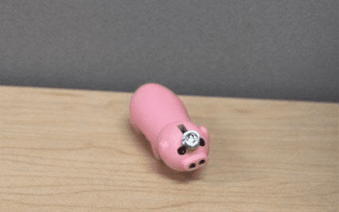 Recalled Somgem Lightweight Tiny Pinky Pig and Yomin Toilet Lighters