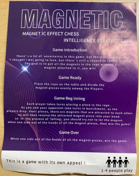 Recalled Christmas-themed Magnetic Chess Games (image 4 of 4)