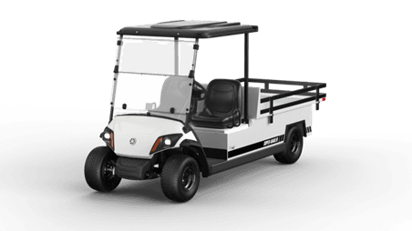Recalled Model Year 2021-2025 Yamaha Golf Car Vehicles (image 2 of 2)