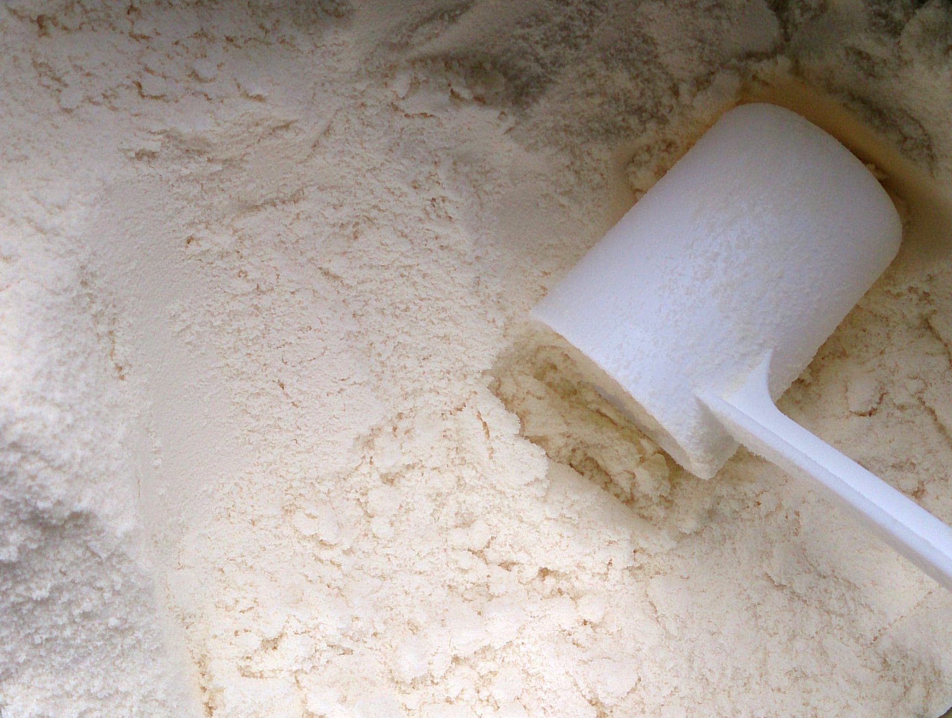 Close-up of powdered milk with a white scoop, the dried-milk ingredient at the center of the California Dairies Salmonella recall