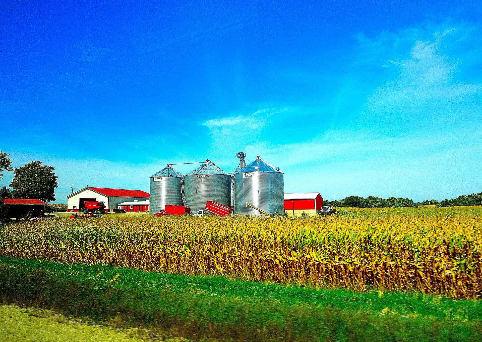 Cylindrical galvanized metal grain storage bins standing beside red farm buildings at the edge of a crop field.
