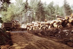 Thumbnail for Worker Killed at West Virginia Lumber Mill; Sheriff and Safety Agencies Investigating