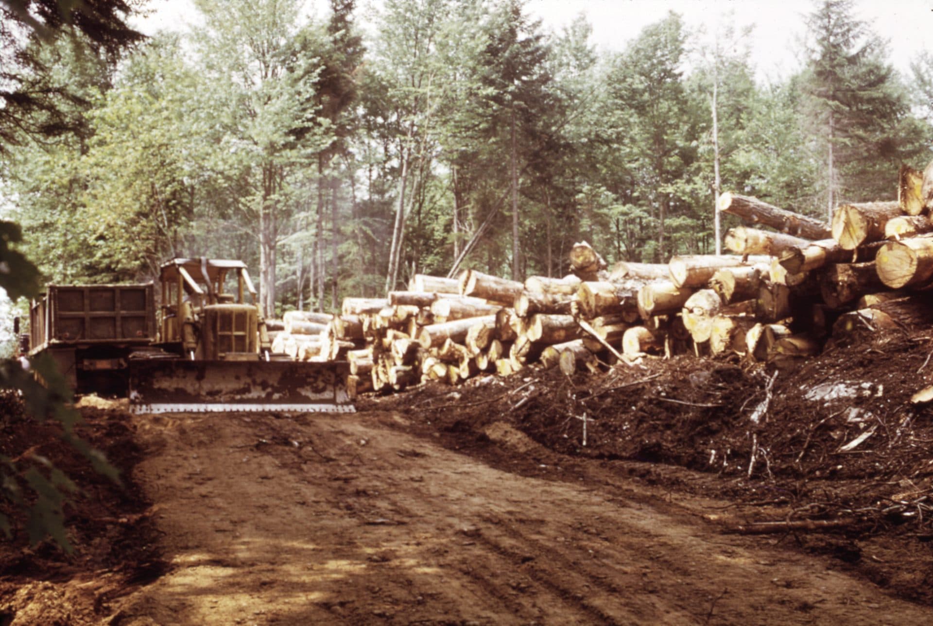 Worker Killed at West Virginia Lumber Mill; Sheriff and Safety Agencies Investigating