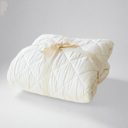 Recalled Avocado Organic Cotton Mattress Pad Protectors