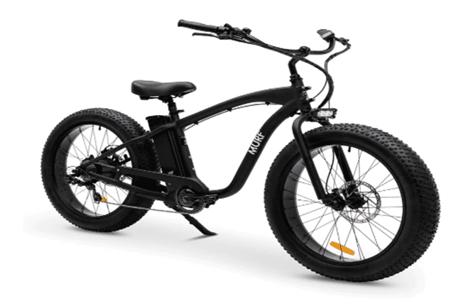 Recalled Electric bicycles