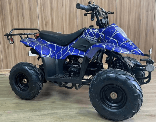 Recalled Ricky Powersports Tumble Weed Youth and TGB Blade Adult All-