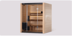 Recalled Tylö Halmstad and Kiruna Hybrid Saunas