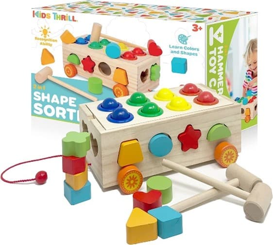 Recalled Kids Thrill Shape Sorter Car Toys